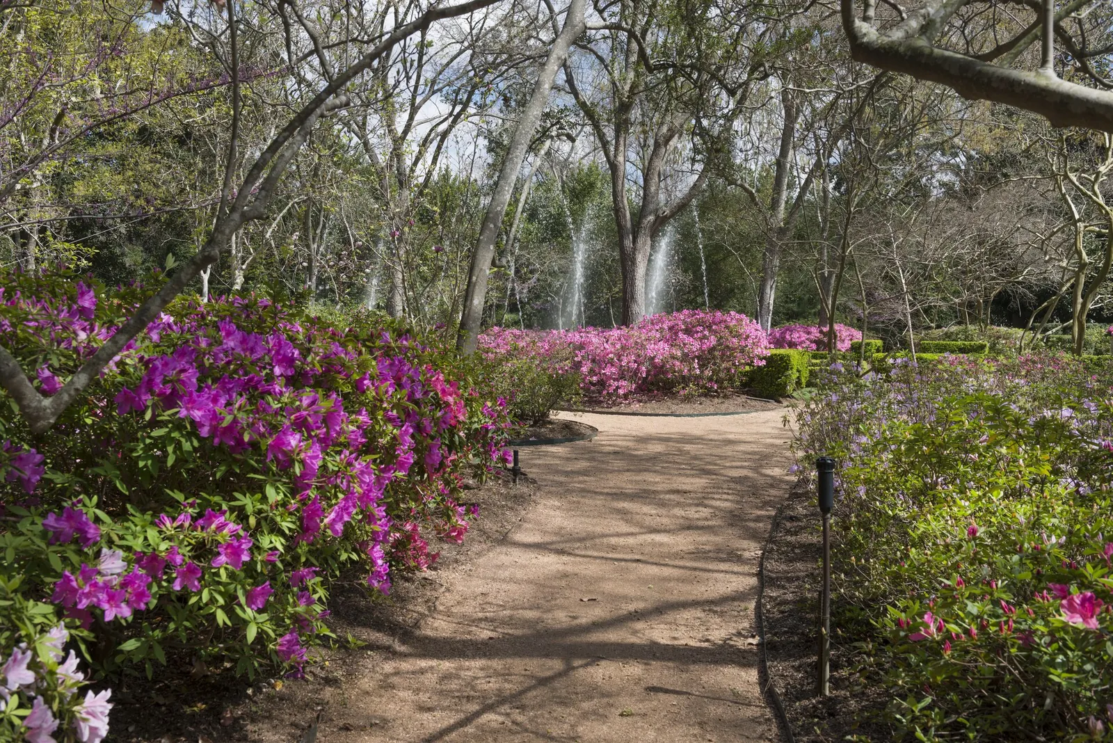A garden path at Bayou Bend Collection and Gardens in River Oaks.