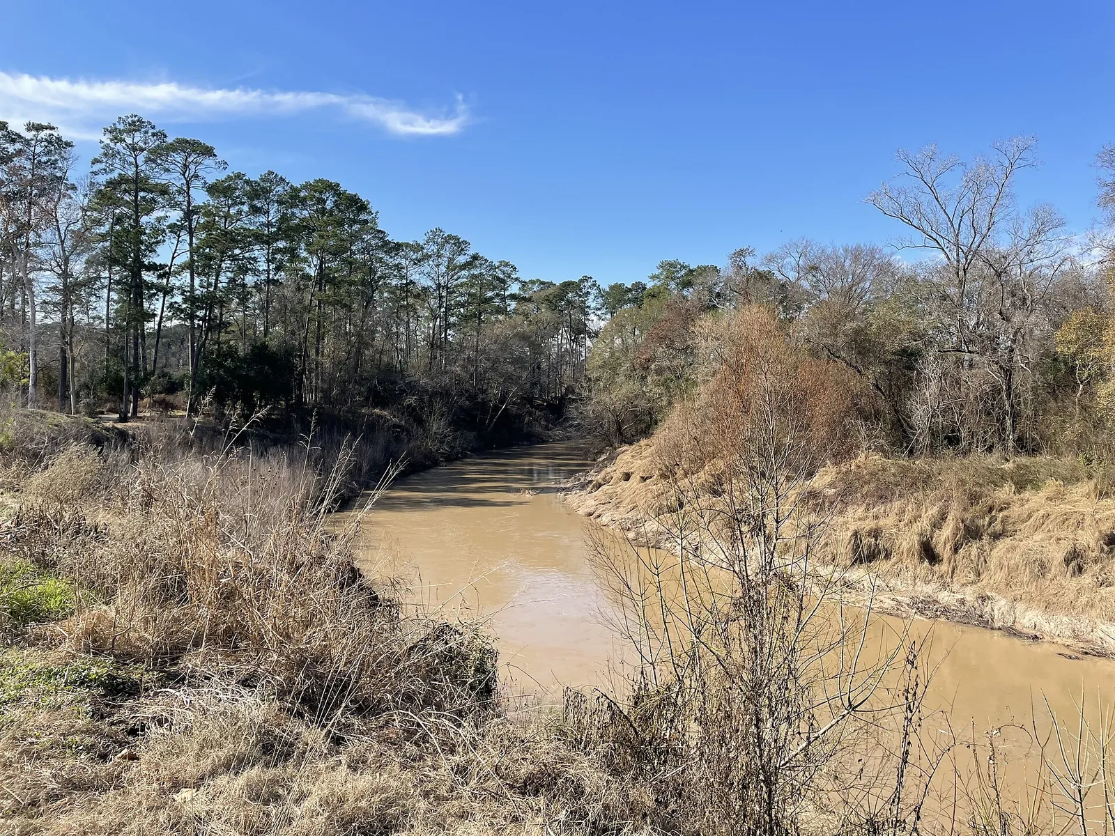 Cypress Creek.