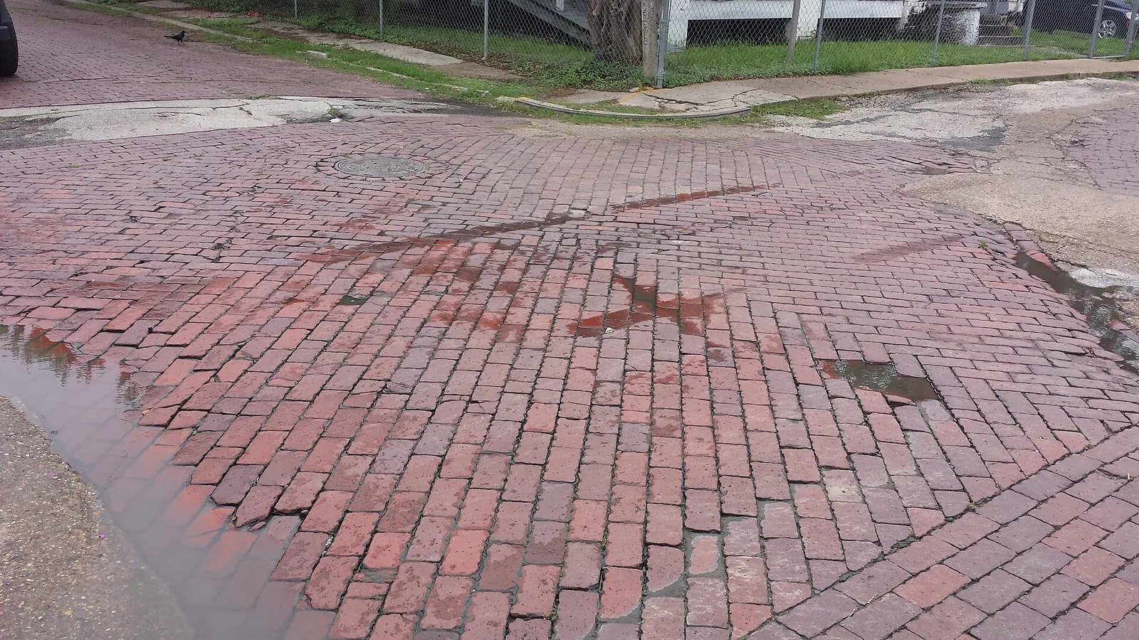 The historic hand-laid brick streets of Freedmen's Town.