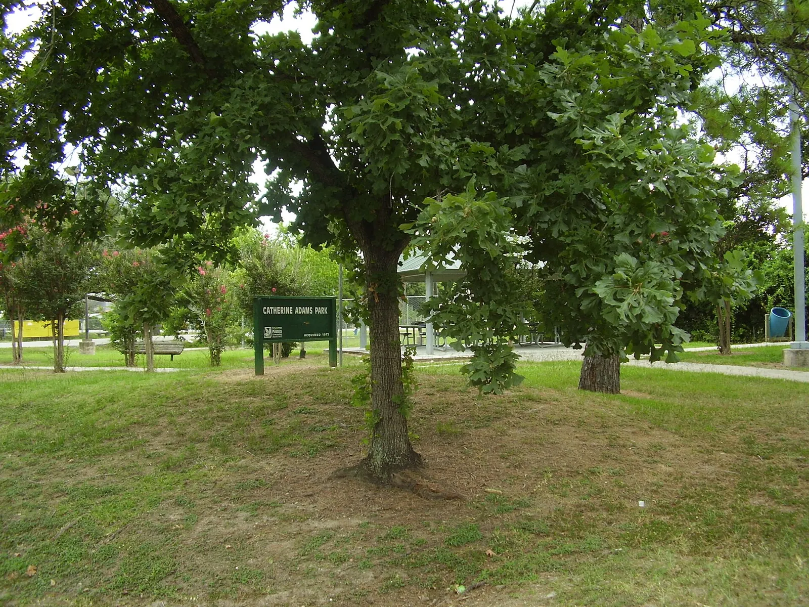 Catherine Adams Park in Fifth Ward.