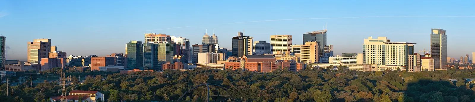 The Texas Medical Center skyline seen from the east.