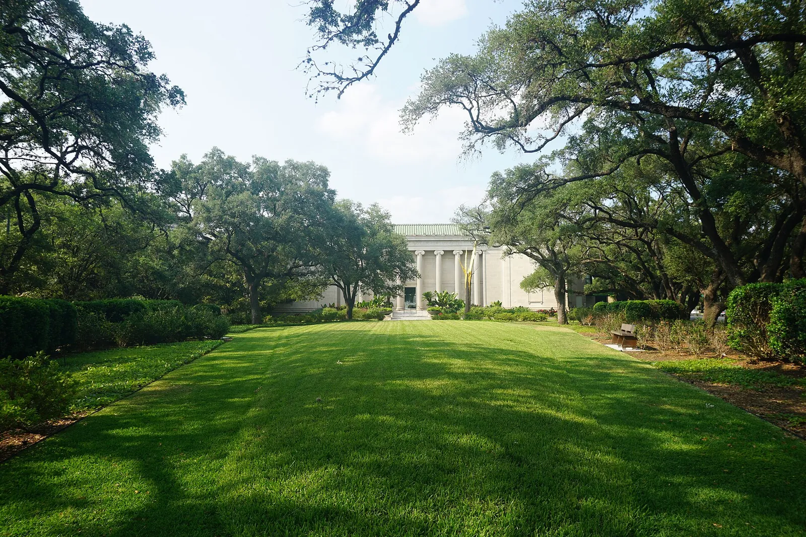 The Museum of Fine Arts, Houston.